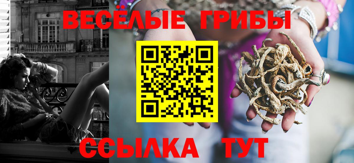 Галлюциногенные грибы Psilocybe  Псилоцибиновые грибы мицелий  Чернушка  Вход с VPN 