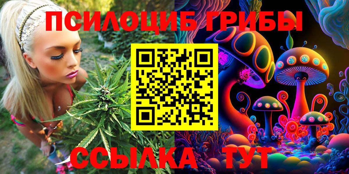 Галлюциногенные грибы прущие грибы Чернушка